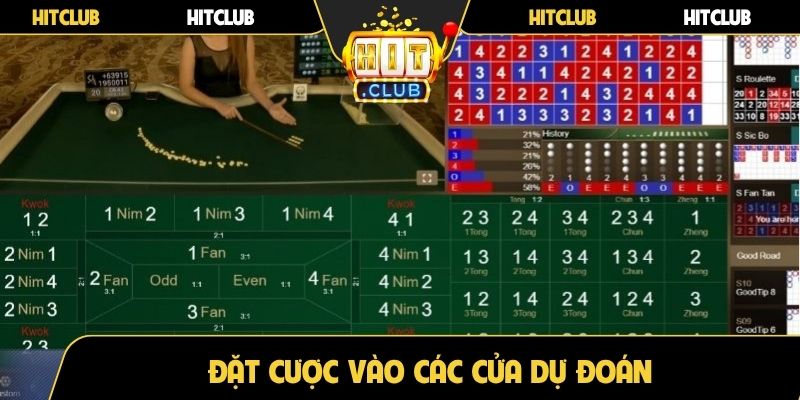 Đặt cược vào các cửa dự đoán