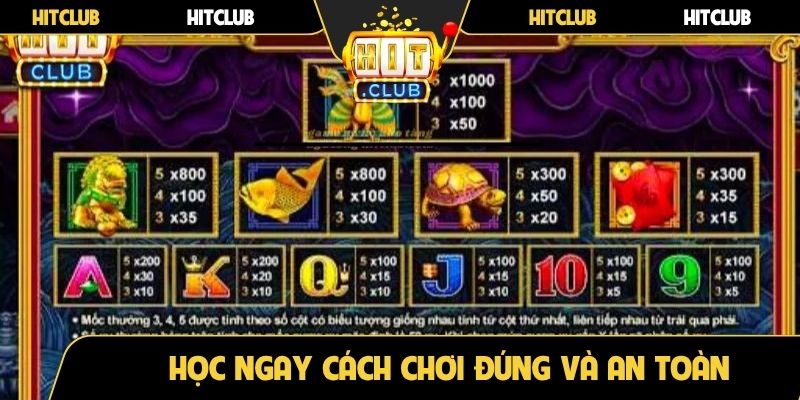 Học ngay cách chơi đúng và an toàn